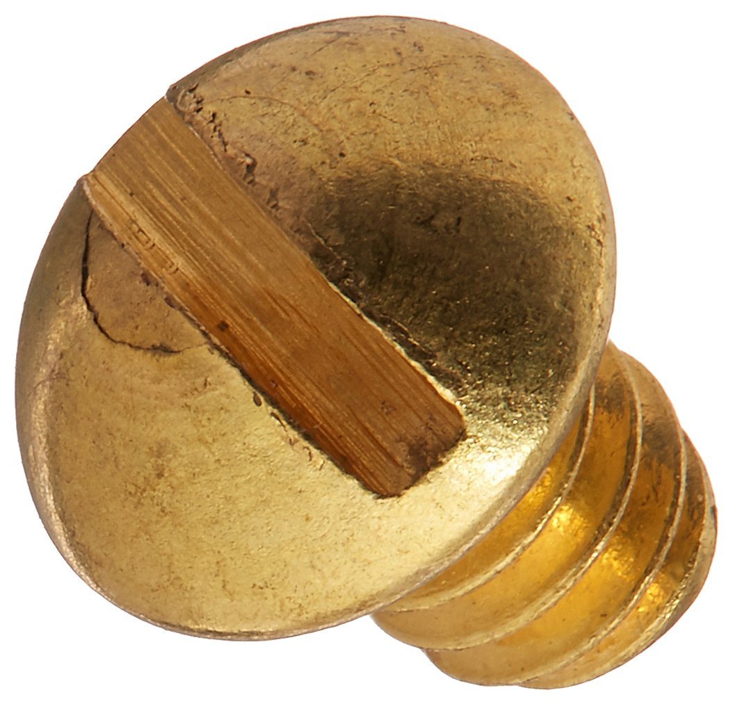 Ridgid 46310 Screws (5 Pack)