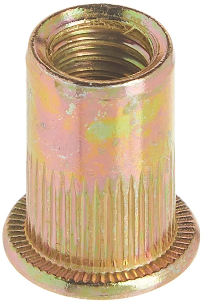 Astro Pneumatique Outil RN516 Écrous à rivets en acier 5/16"-18, 100 pièces