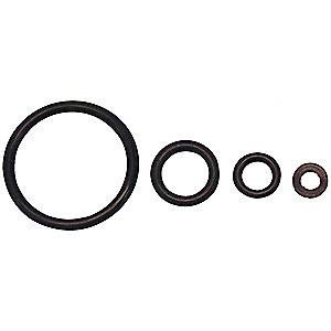 Pump Rebuild Kit for 29900