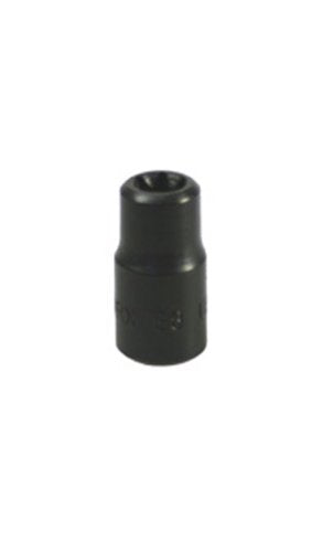 Lisle 26800 1/4-Inch Drive External Torx Socket E-8 - Proindustrialequipment