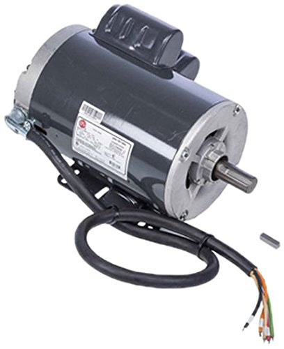 Ridgid 27282 Motor, 220V/240V 50Hz 1224