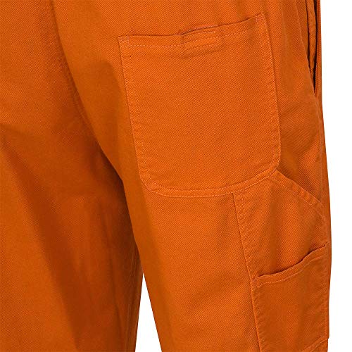 Pioneer FR 7-Pocket Overall Bib Work Pants, Premium Cotton & Nylon Blend, Reflective Stripes, Blue, S, V2540450-S - Clothing - Proindustrialequipment